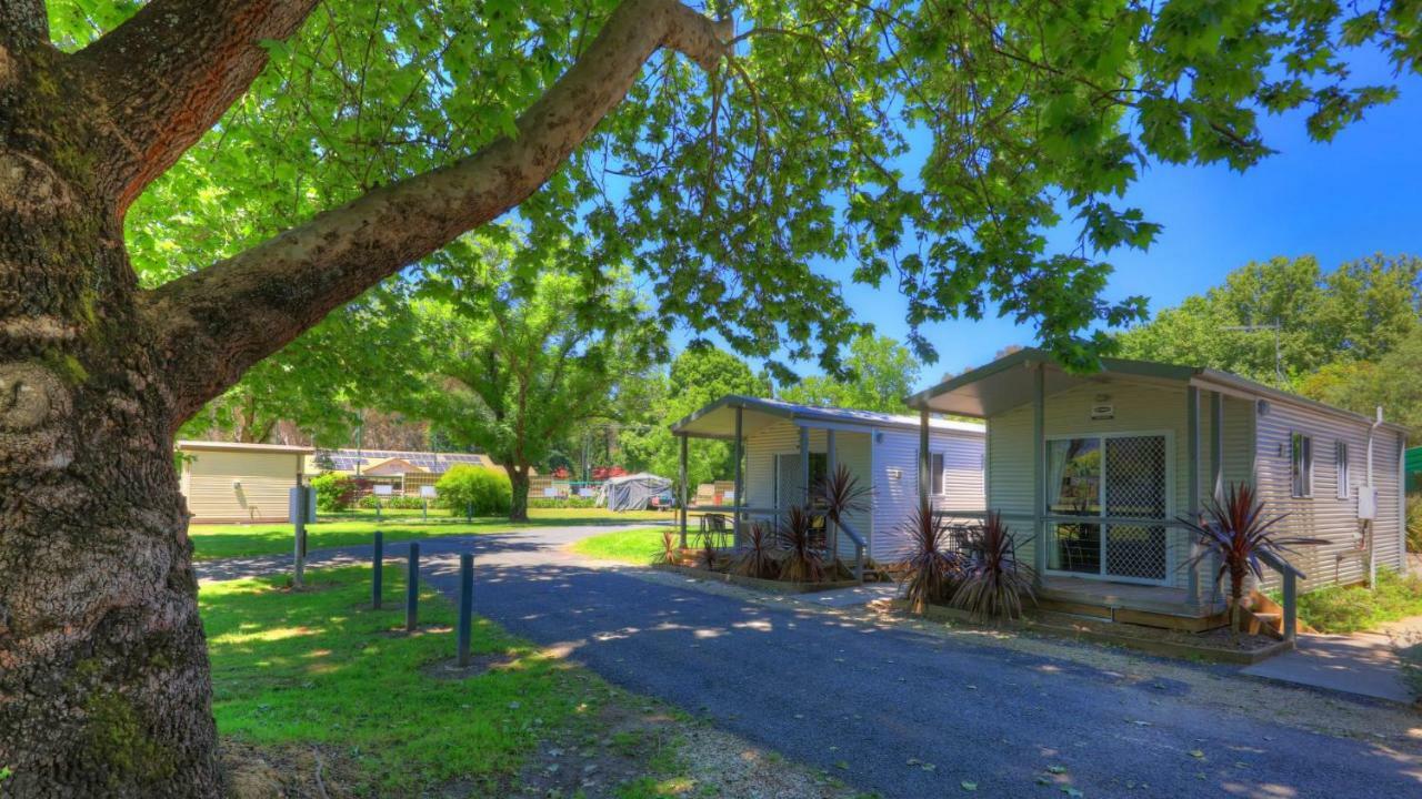 Myrtleford Holiday Park Eksteriør bilde